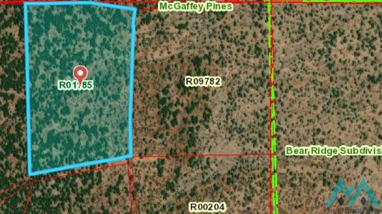 41 McGaffey Pnes Rd, Ramah, NM 87316