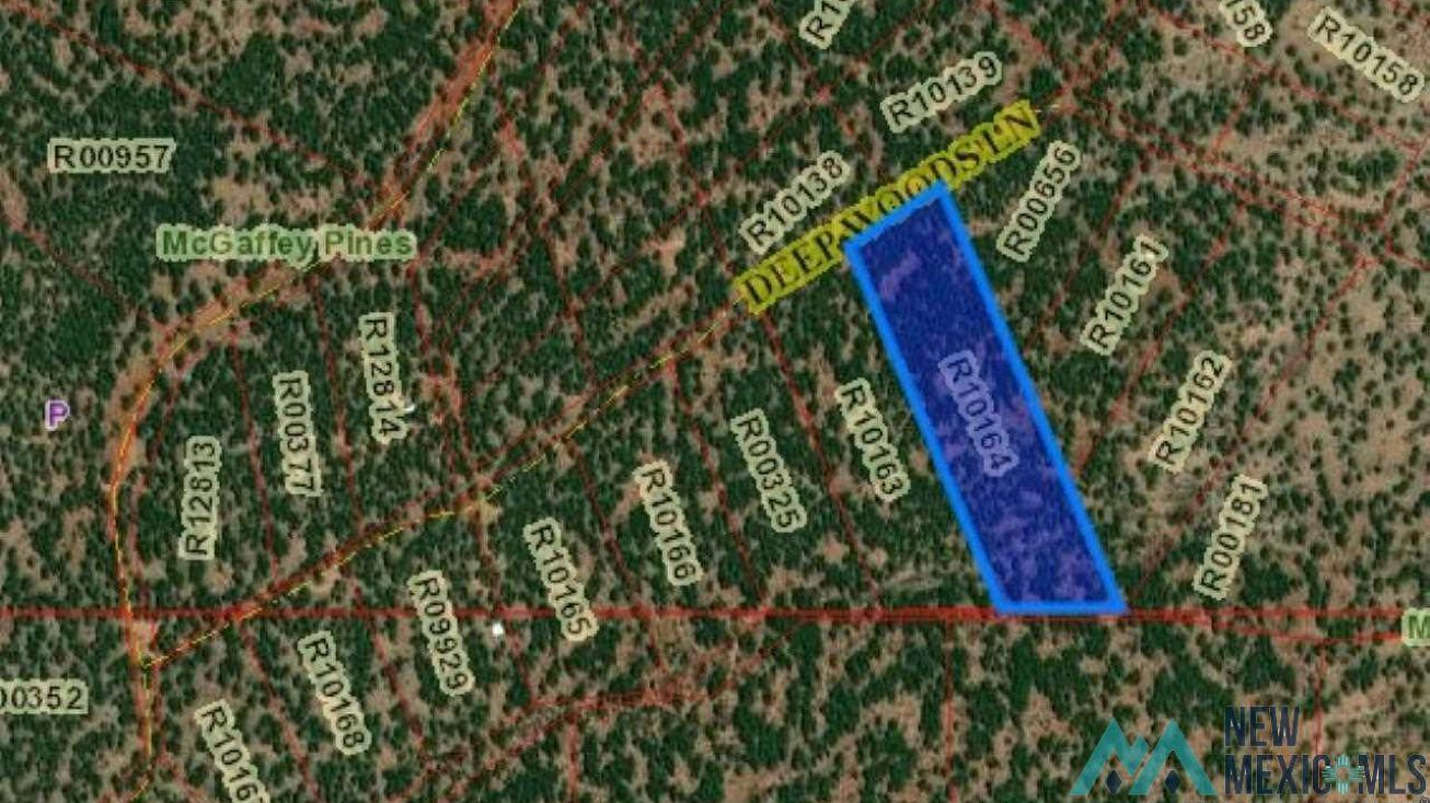 Lot 34 C Mcgaffey Pines Mcgaffey, Fort Wingate, NM 87316