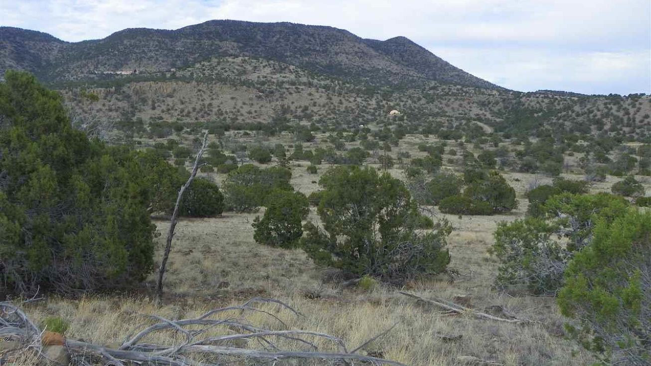 271 Lot Coyote Trail, Datil, NM 87821 Land for Sale 271 Lot Coyote