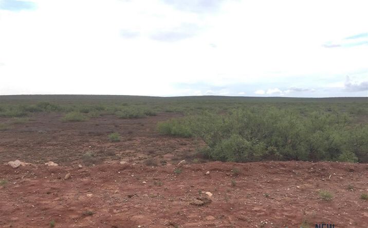 Pictures of Land property located at 00 Cottonwood Dr, Roswell, NM 88203 for sales - image #1