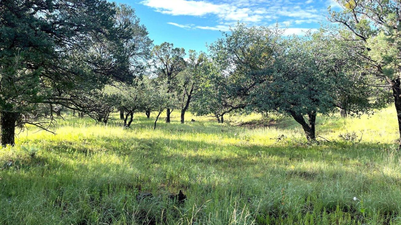 Xx Sanctuary, Silver City, NM 88061 Land for Sale Xx Sanctuary