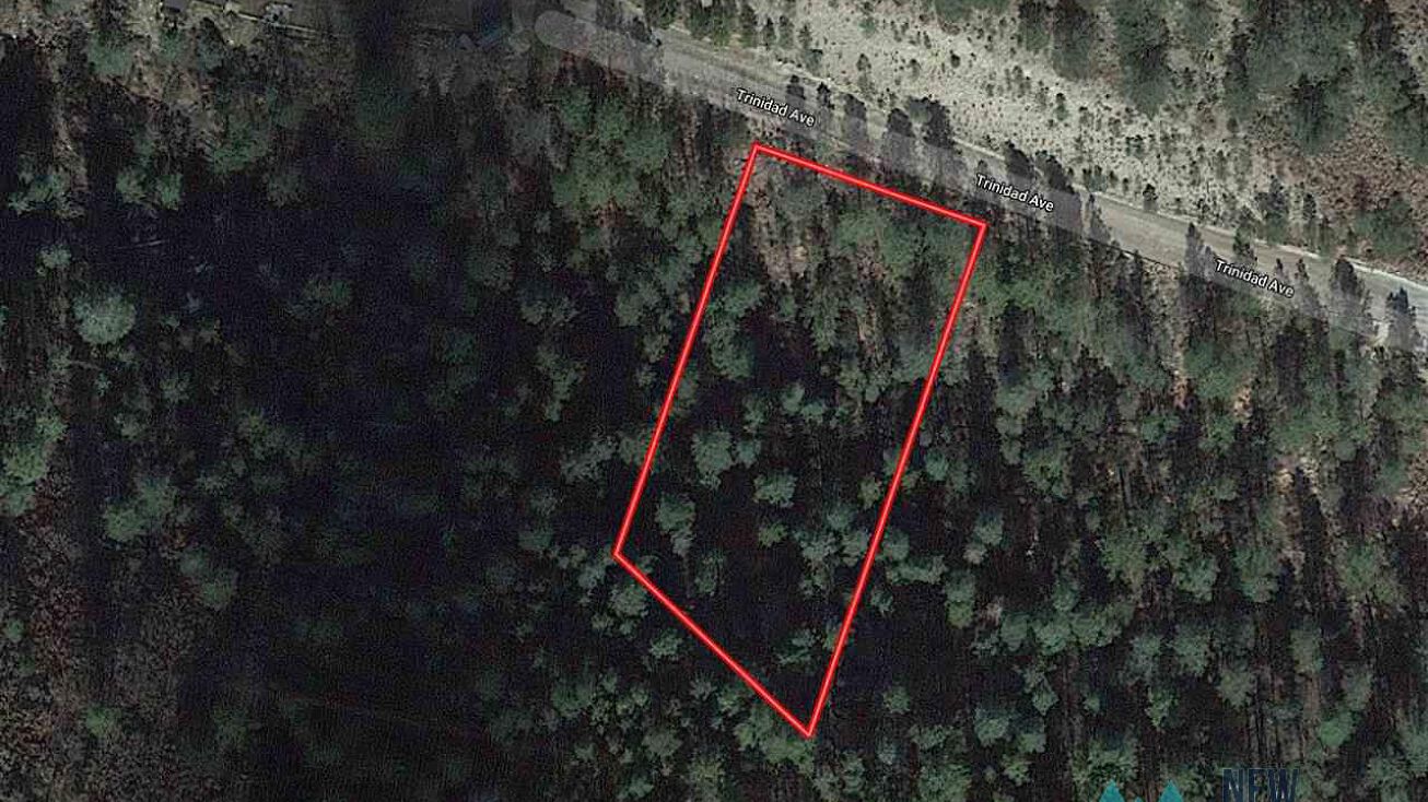 Trinidad Ave, Timberon, NM 88350