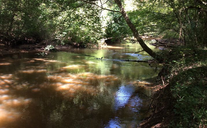 Pictures of Land property located at 4837 Quail Tower Rd, Luverne, AL 36049 for sales - image #1