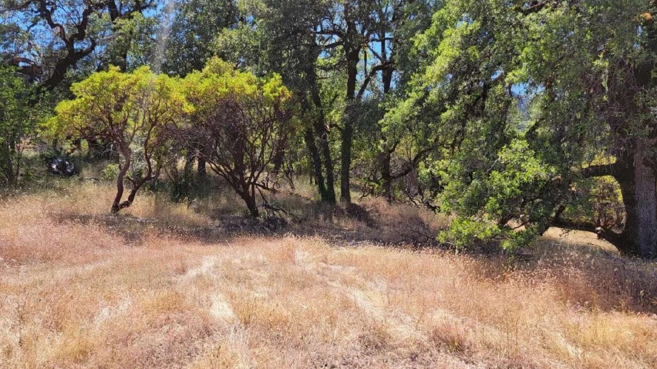 26365 Rifle Range Rd, Covelo, CA 95428 Land for Sale 26365 Rifle Range Rd