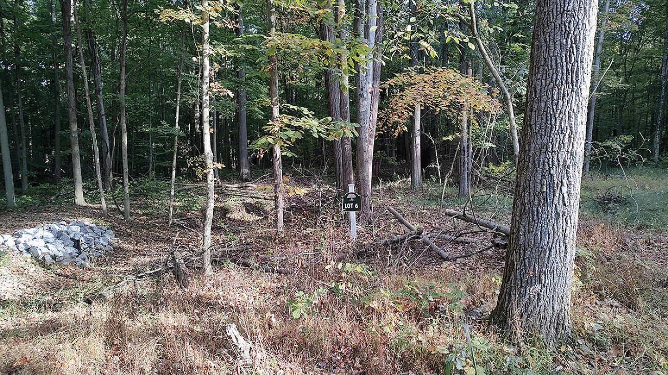 305 Levi Drive, Pataskala, OH 43062, Pataskala, OH 43062