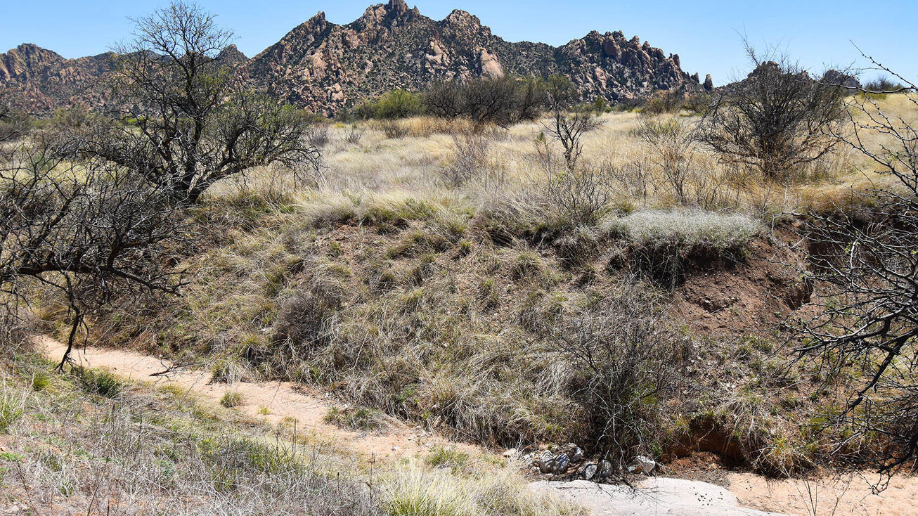 8300 E Ranch House Road, Saint David, AZ 85630