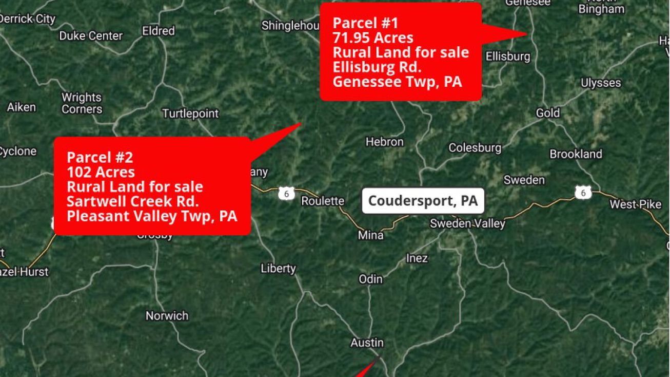 Ellisburg Rd, Genesee, PA 16923