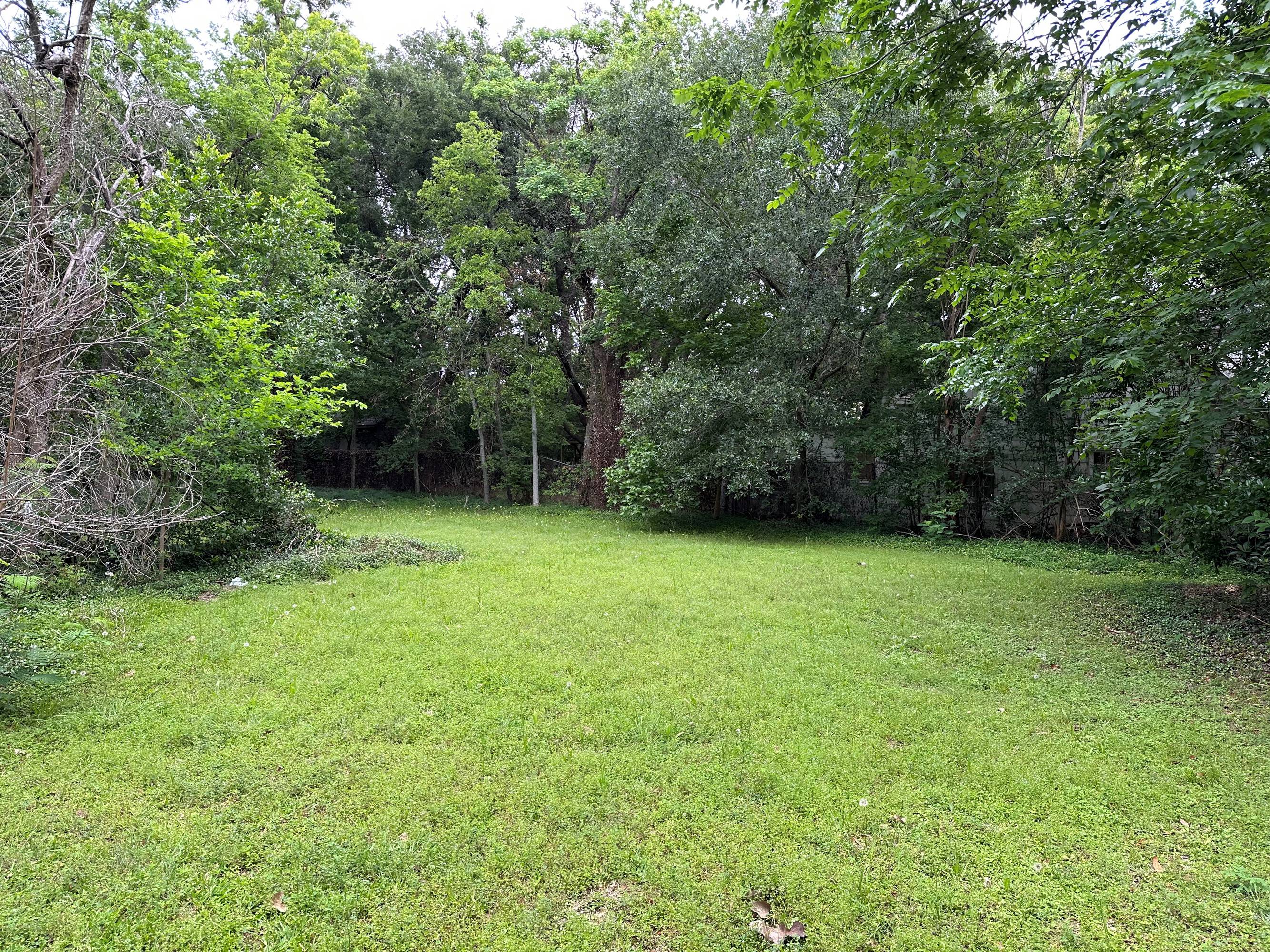 A large, open grassy area surrounded by mature trees at 2922 & 2912 Bellaire Blvd, Houston, TX.