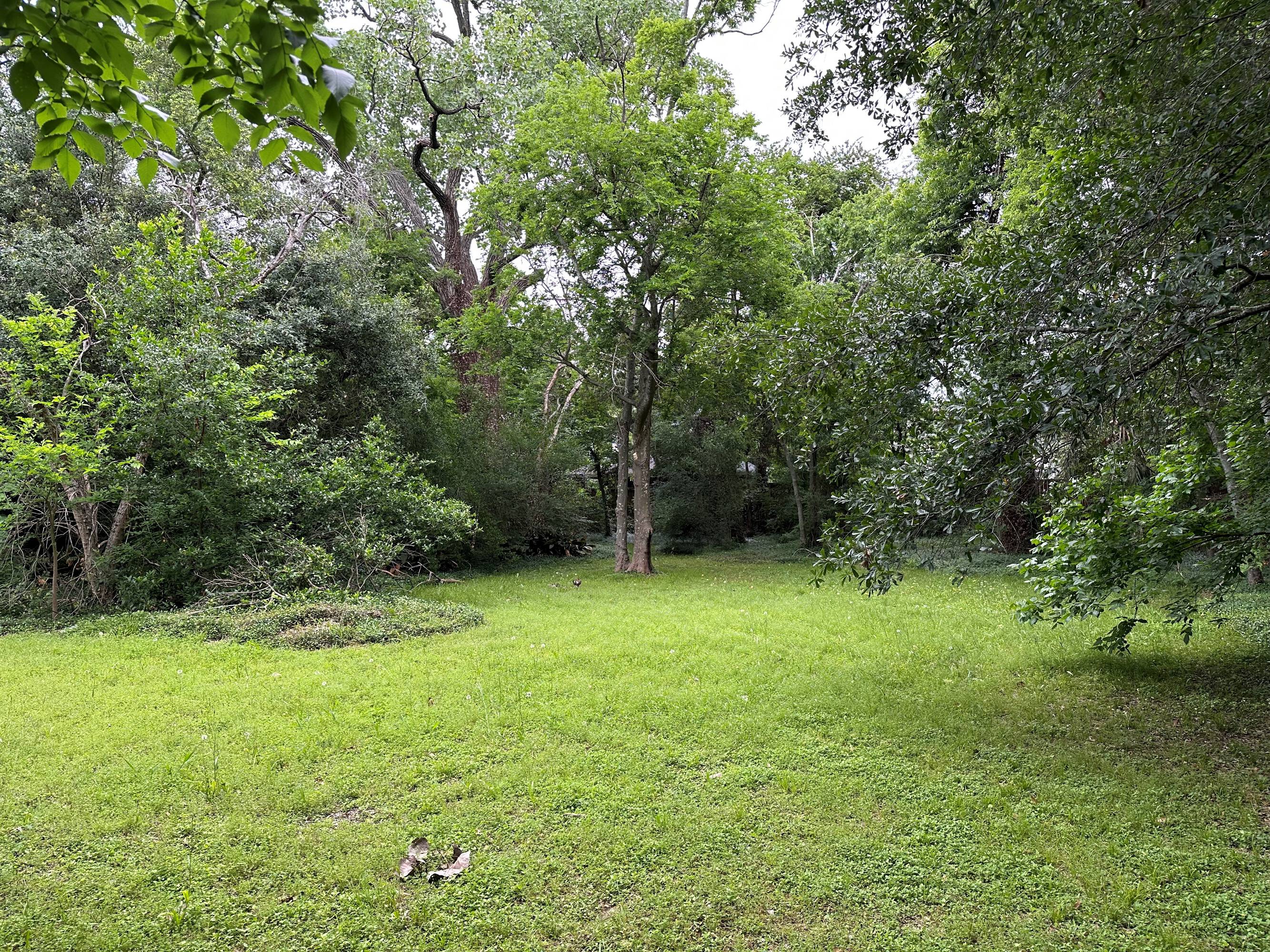 A large, open grassy area with mature trees providing shade, ideal for development.