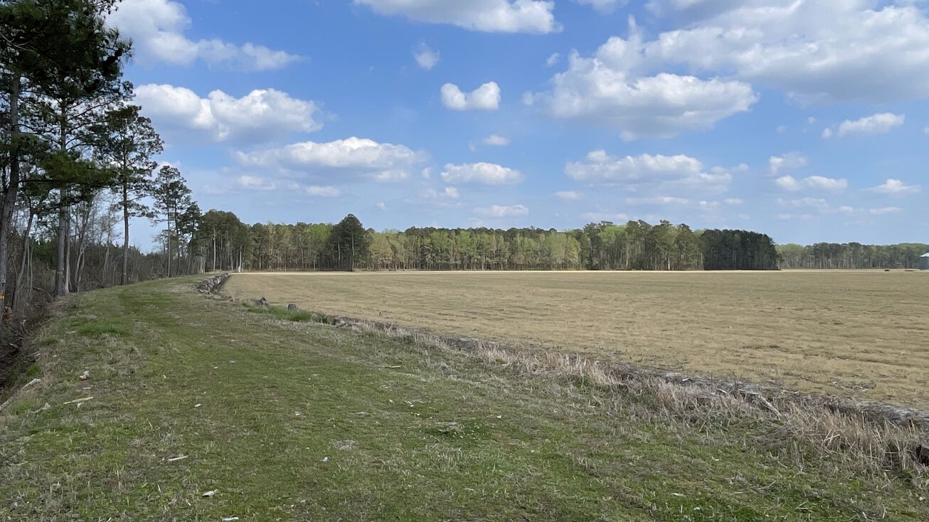 7981 NC33, Chocowinity, NC 27817 Land for Sale Farmland Tract For