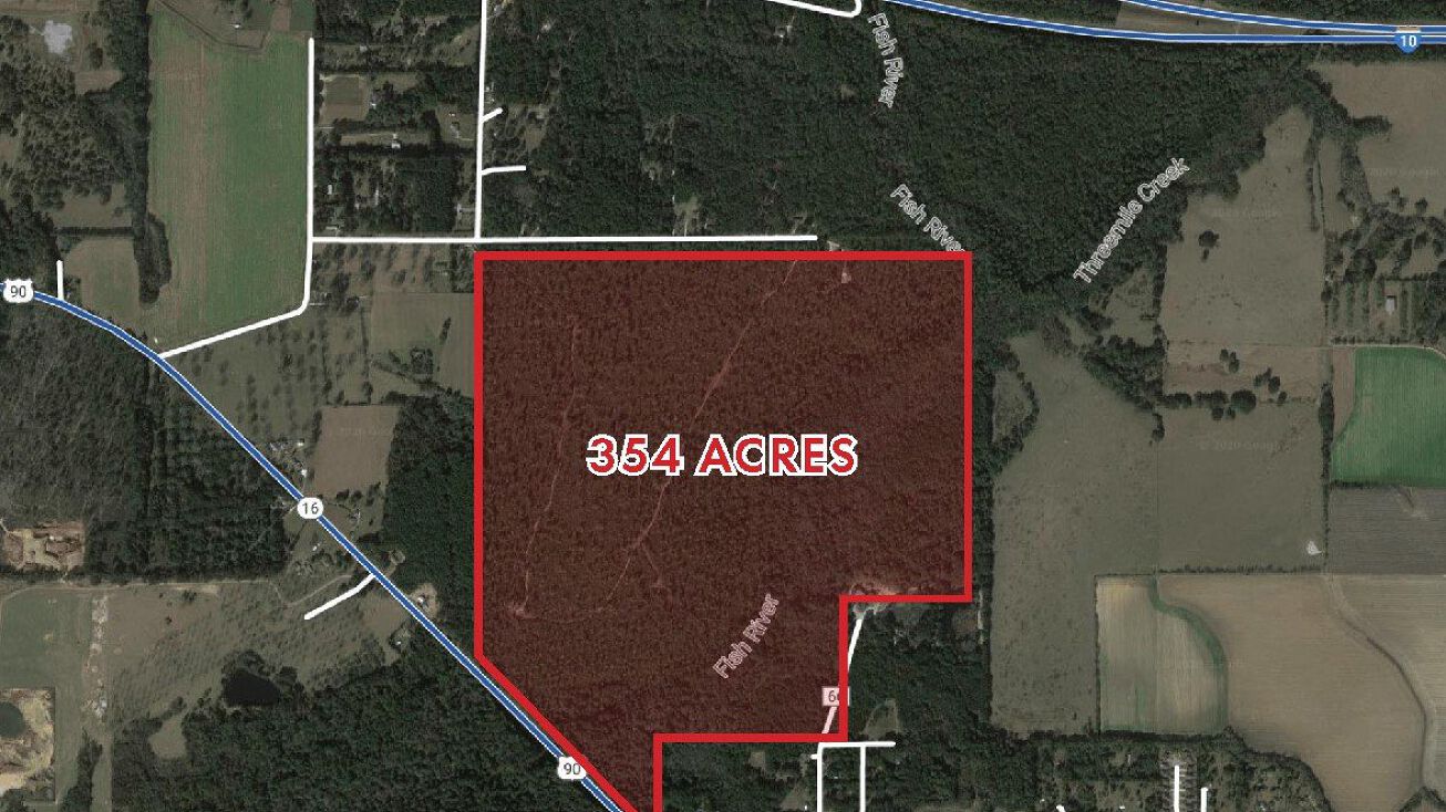 Pictures of Land property located at US Highway 90, Loxley, AL 36551 for sales - image #1