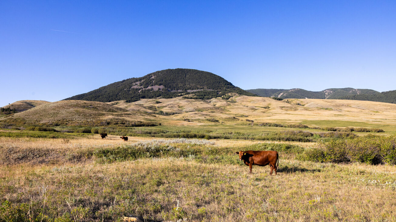 Box Elder Ranch, Lewistown, MT 59457