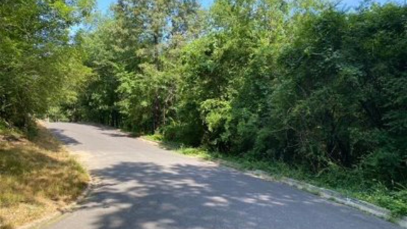 Pictures of Land property located at Woodcrest St, Hot Springs, AR