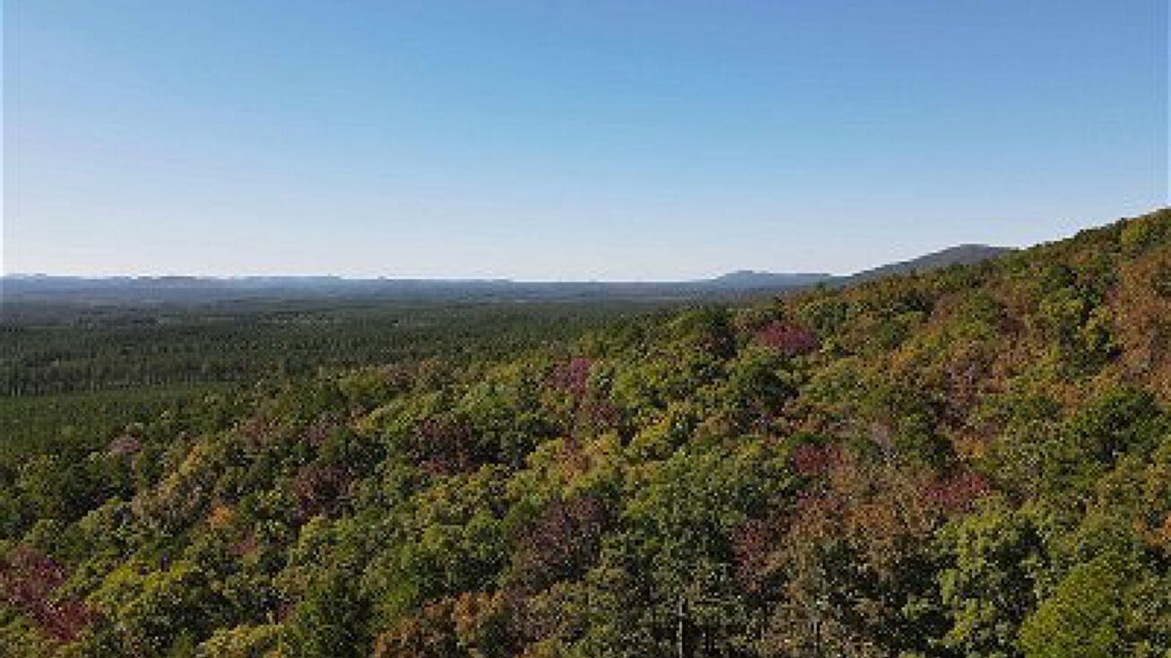 Pictures of Land property located at Xxx Lake Winona Road, Jessieville