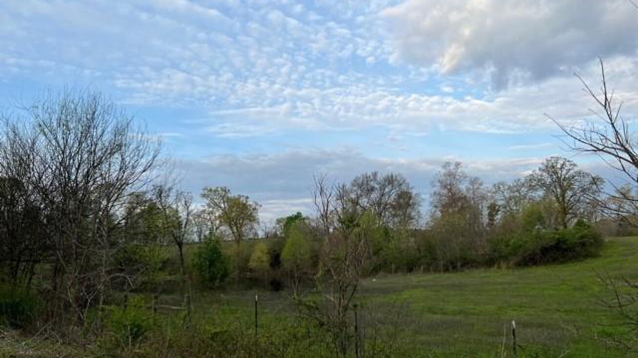 Ward Mountain Rd, Adairsville, GA 30103 Land for Sale 00 Ward