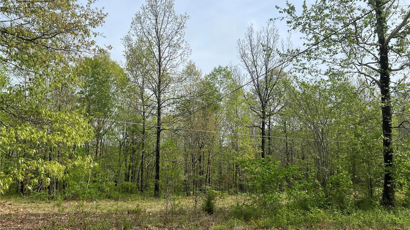 Pictures of Land property located at 1 Hwy 160W, Poynor, MO 63935 for