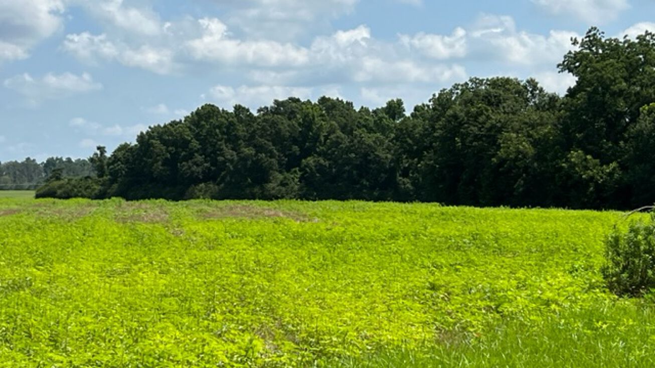 Eddins Rd, Dothan, AL 36301