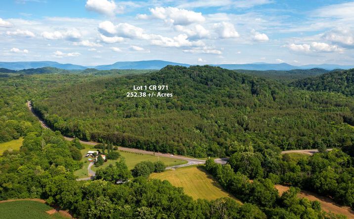 Pictures of Land property located at 1 State Highway 163, Calhoun, TN 37309 for sales - image #1