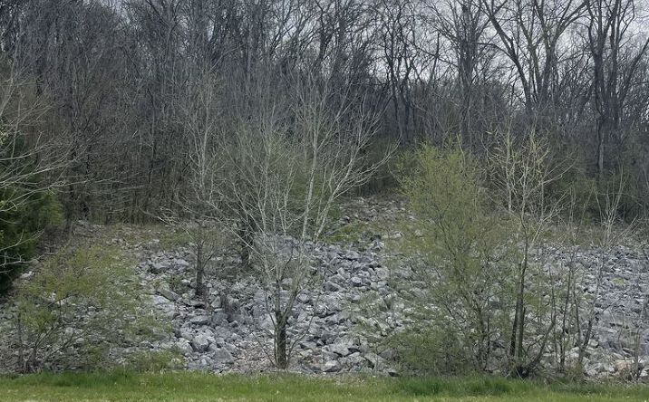 Pictures of Land property located at 6602 Hixson Pike, Hixson, TN 37343 for sales - image #1