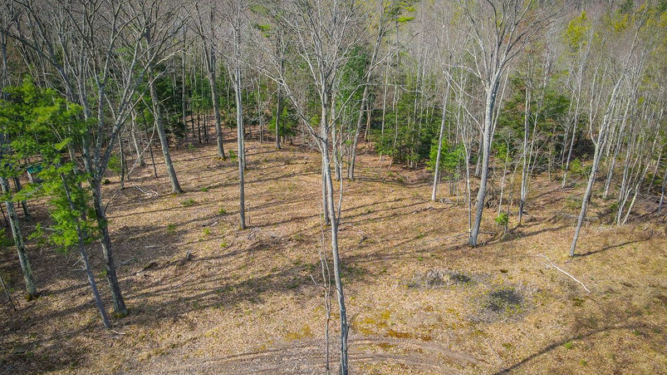 4854 Swihart Rd, Brethren, MI 49619