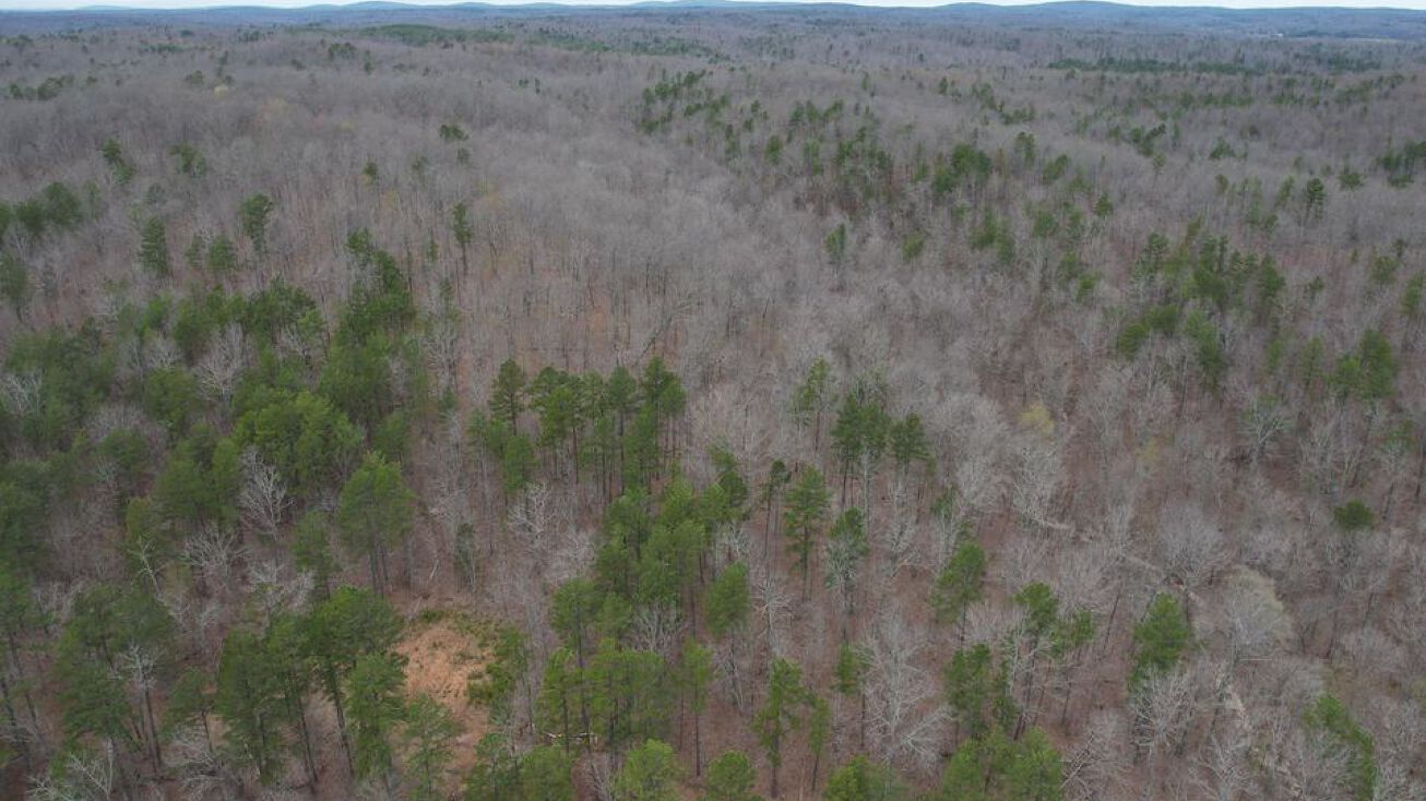 1 Hwy M, Marquand, MO 63655 Land for Sale 1 Hwy M