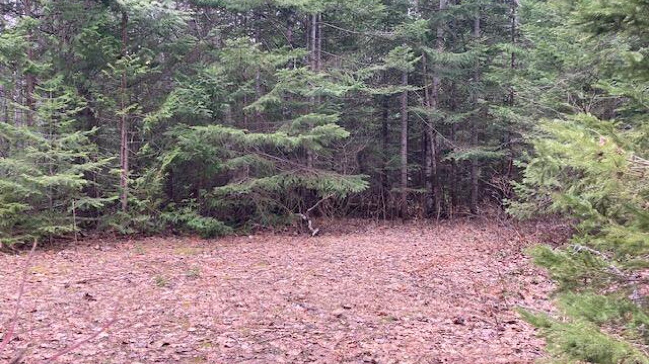 US23 Highway, Ocqueoc, MI 49759