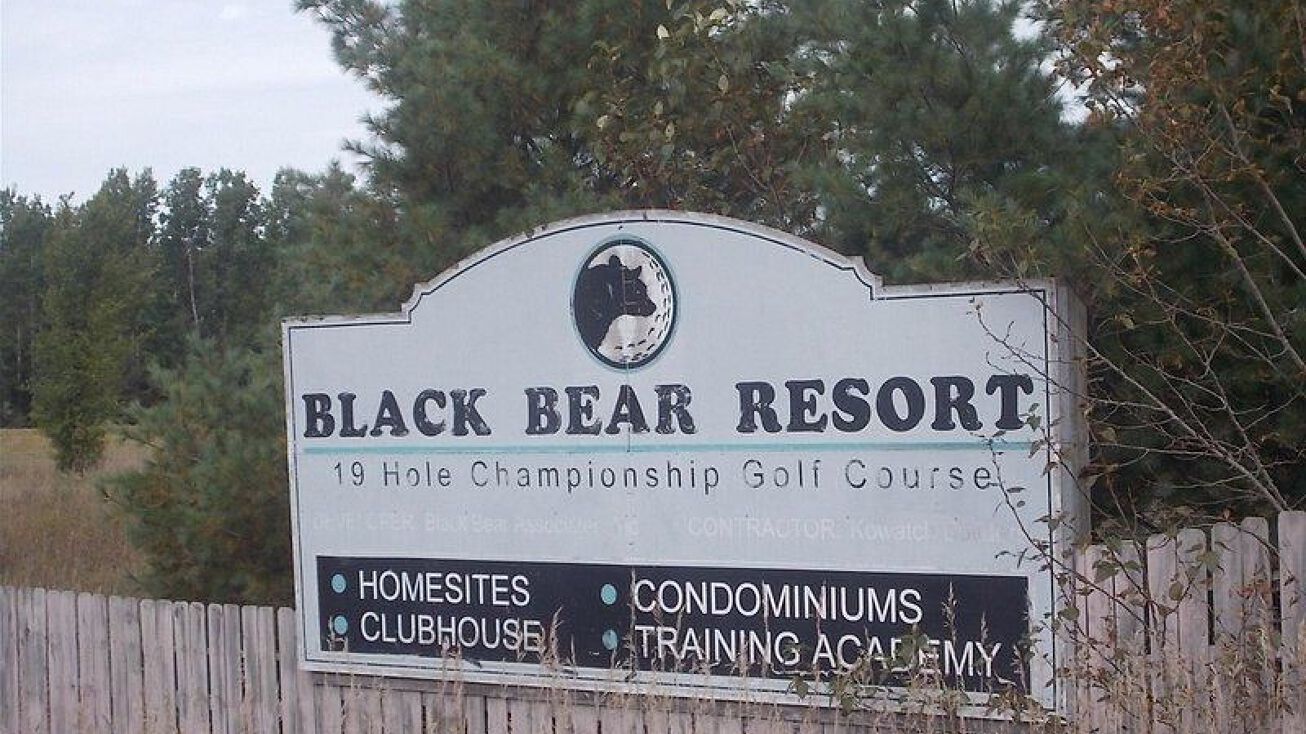 TBD Cub's Way, Vanderbilt, MI 49795 Land for Sale TBD Cub's Way