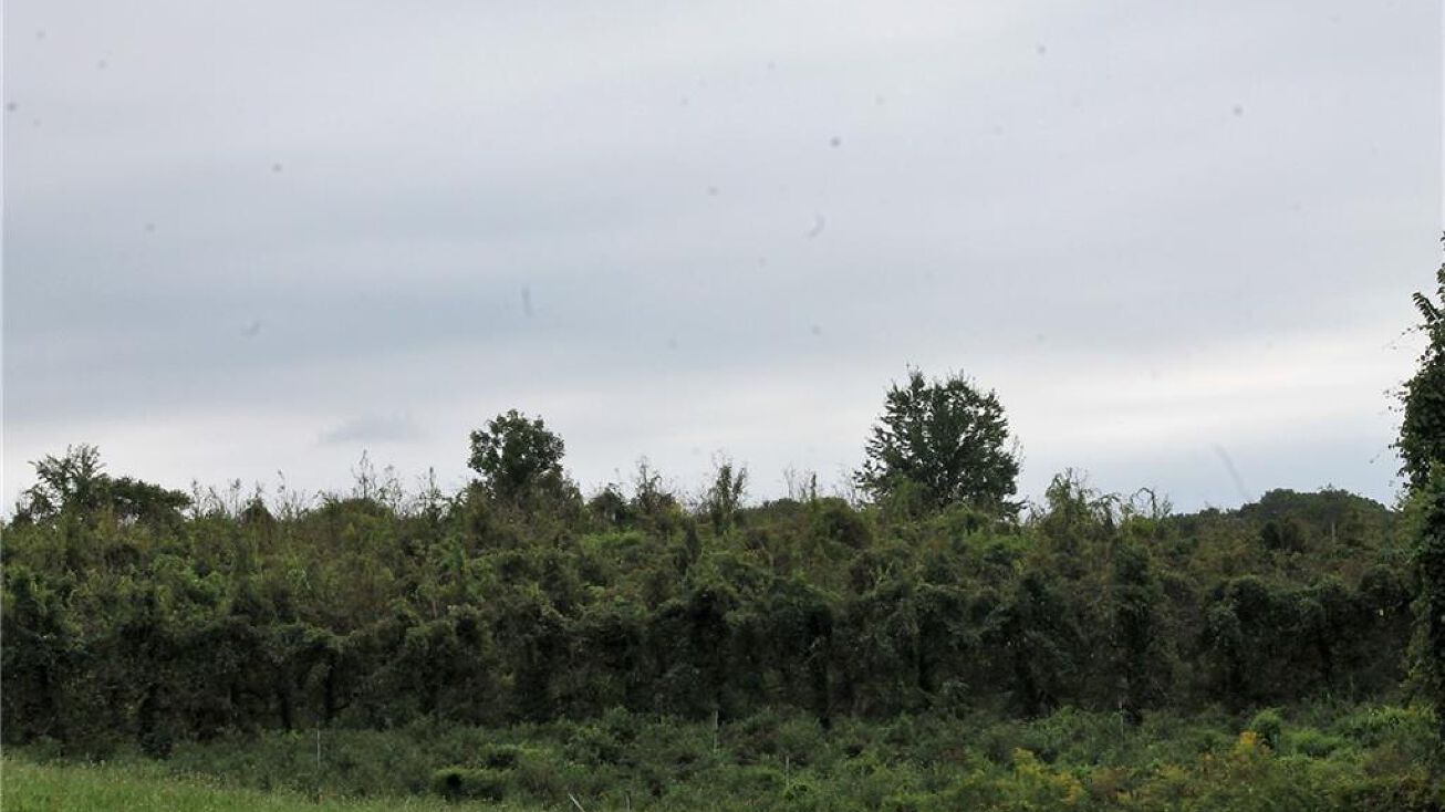 487 Foote Rd, Glastonbury, CT 06073