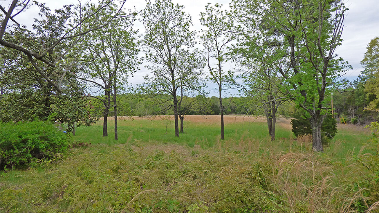 Pictures of Land property located at 274 Wolf Hound Road, Glencoe, AR