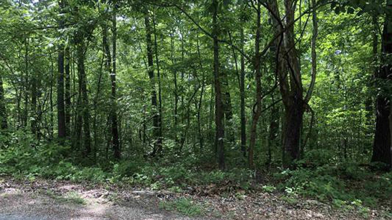Pictures of Land property located at 1418 Raspberry Ln, Horseshoe Bend, AR 72512 for sales