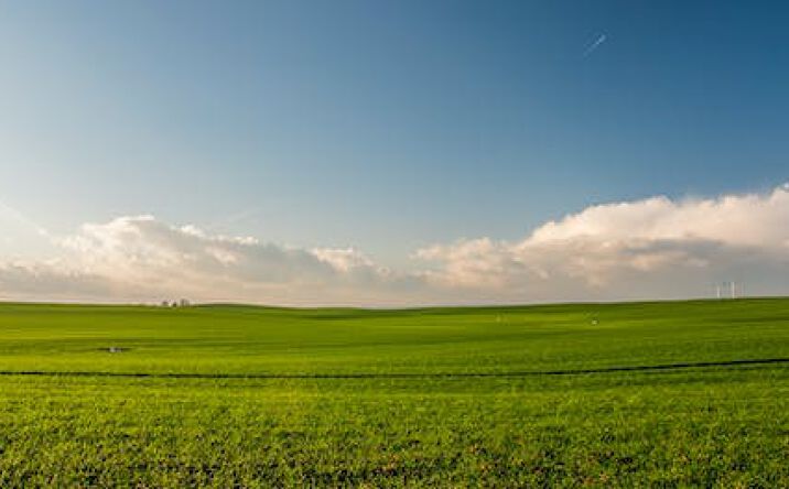Pictures of Land property located at  for sales - image #1