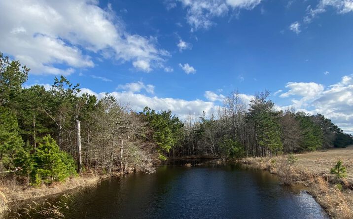 Pictures of Land property located at 18500 County Rd 437, Lindale, TX 75771 for sales - image #1
