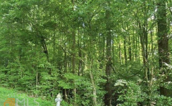 Pictures of Land property located at Wall Rd, Statham, GA 30666 for sales - image #1