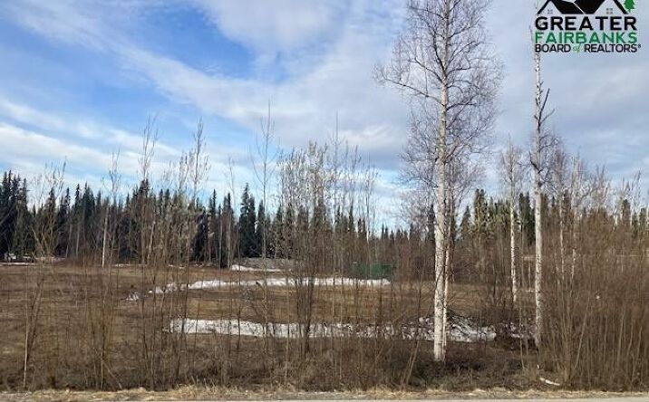 Pictures of Special Purpose property located at 71 SAINT NICHOLAS DRIVE lot: 1-B-2, North Pole, AK 99705 for sales - image #1