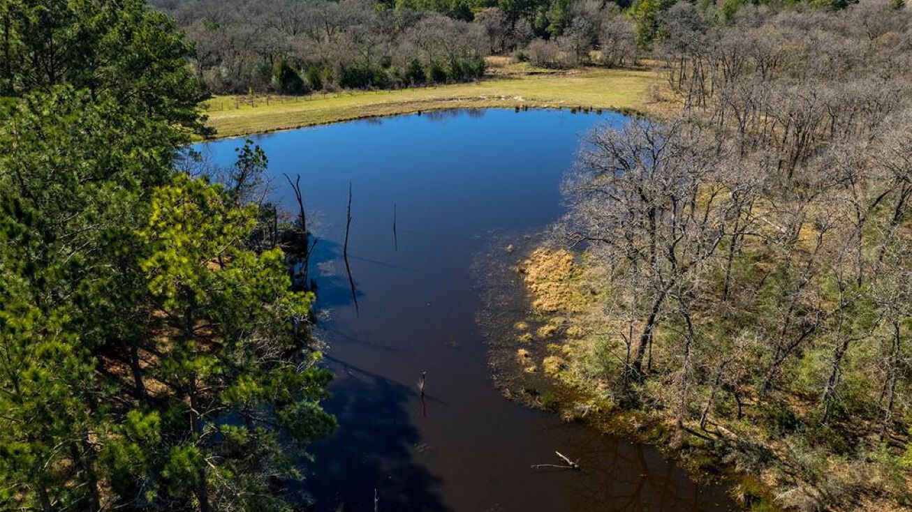 TBD CR 228, Tract 6 Bedias, Bedias, TX 77831