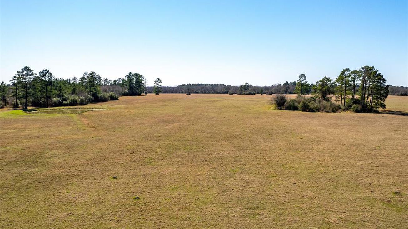 TBD County Road 228, Tract 7 Bedias, Bedias, TX 77831