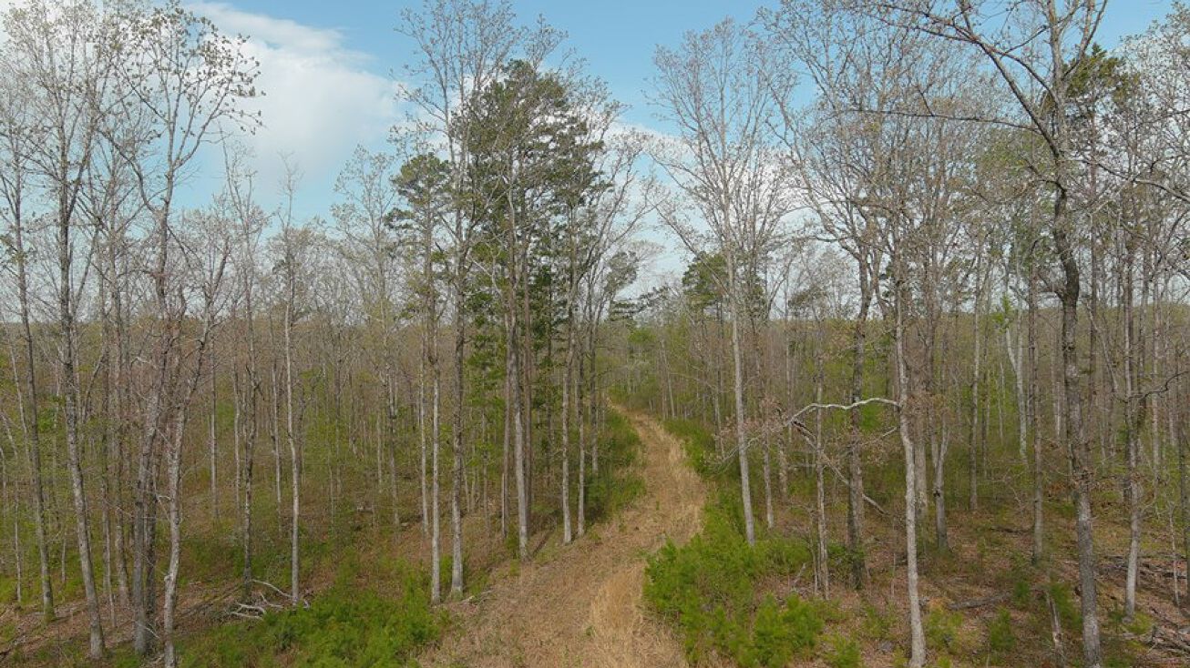 Wayne County Missouri, Greenville, MO 63944 Land for Sale Wayne