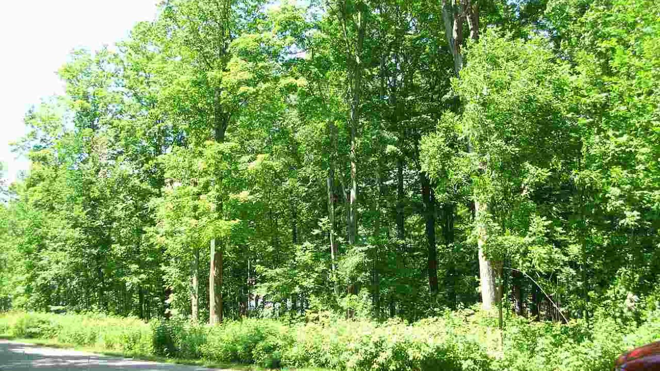 9595 Maple Isle Ct, Alanson, MI 49706 Land for Sale 9595 Maple Isle