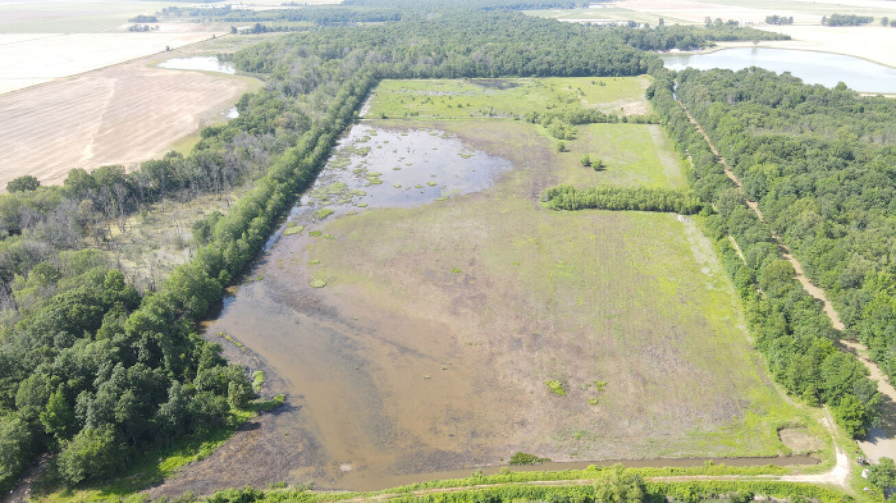 L’anguille River 80, Lepanto, AR 72354