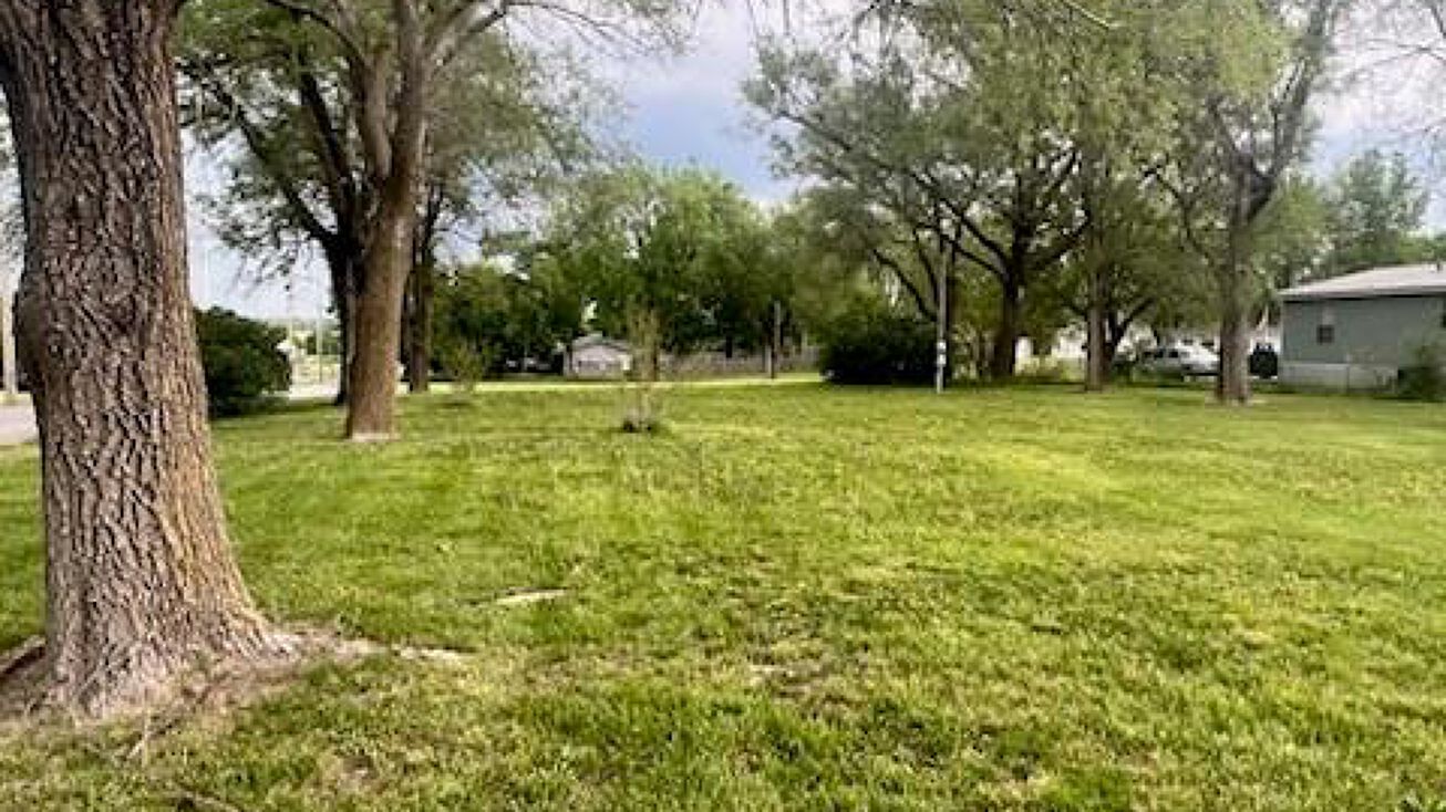 119 N State Street, Drexel, MO 64742 Land for Sale 119 N State Street