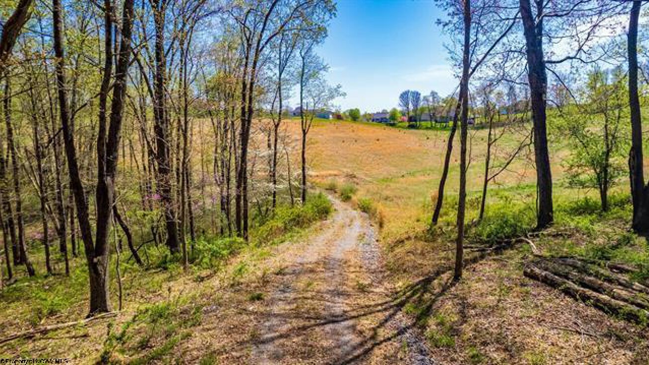 TBD Colfax Road, White Hall, WV 26554