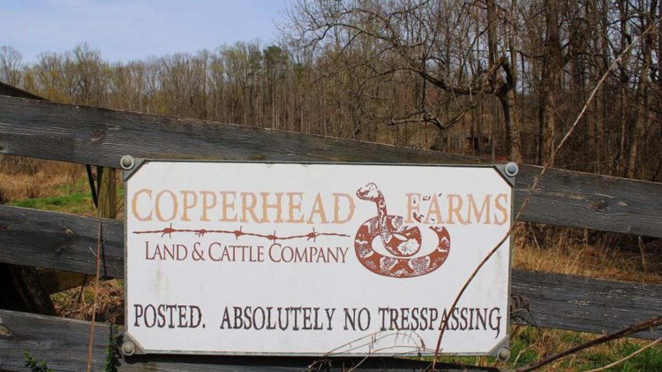 1790 GA136, Jasper, GA 30143