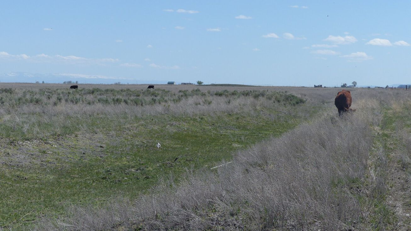 T23S R32E WM Sec., Lawen, OR 97720 Land for Sale Eastern Oregon