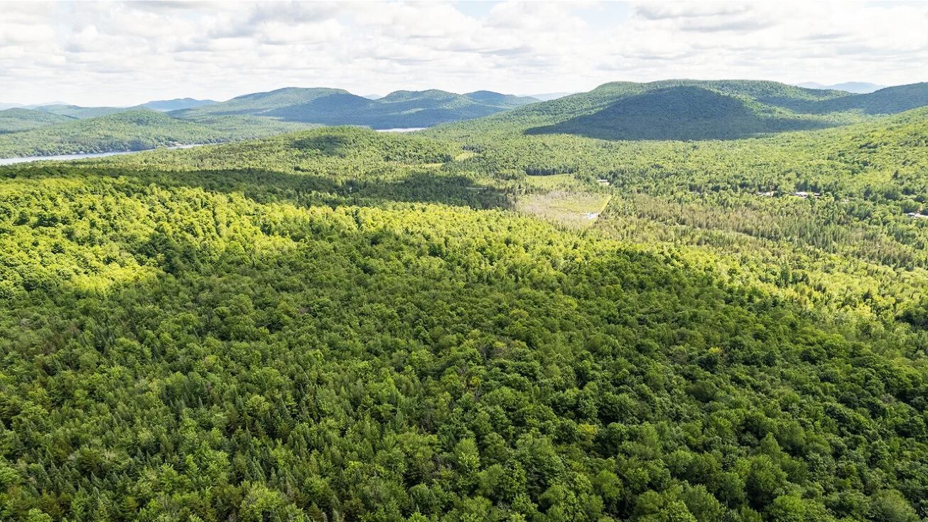 Pictures of Land, Note/Loan property located at VCFH+M9J South Bombay, New York, USA, South Bombay, NY 12957 for sales - image #1