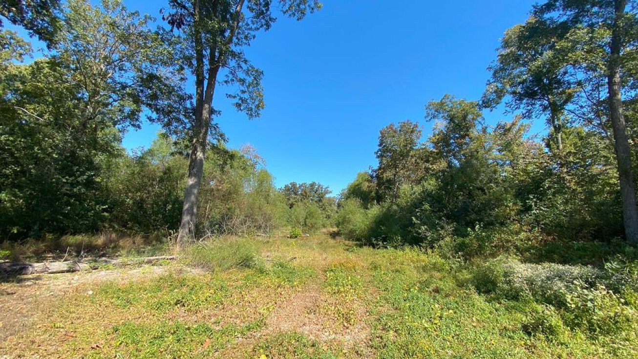 00 Highway 42, Hickory Ridge, AR 72347