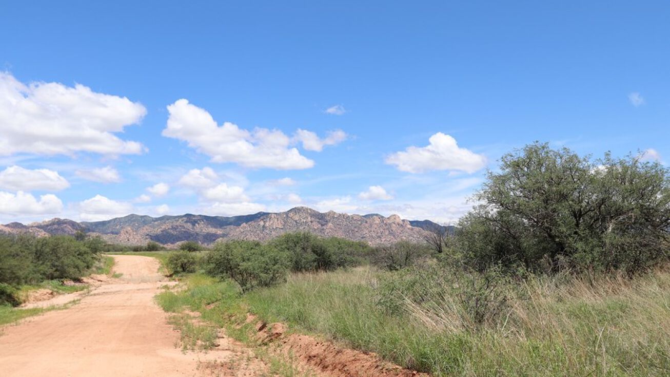 LOT 38 E NAICHE Road, Saint David, AZ 85630 Land for Sale PREMIER