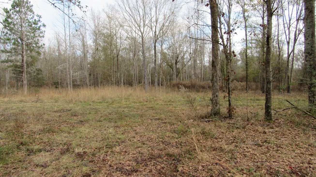 Modoc Rd, Swainsboro, GA 30401