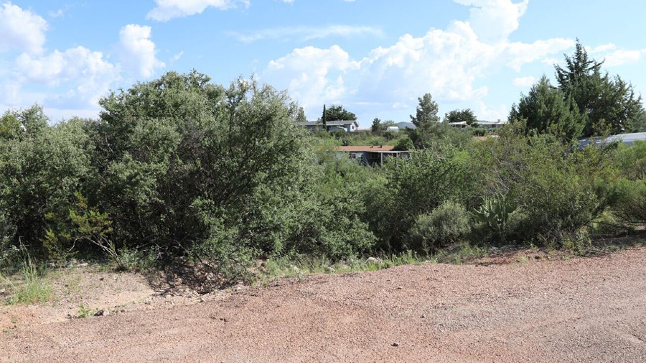 lot 376 TBD Mesa Circle, Tombstone, AZ 85638