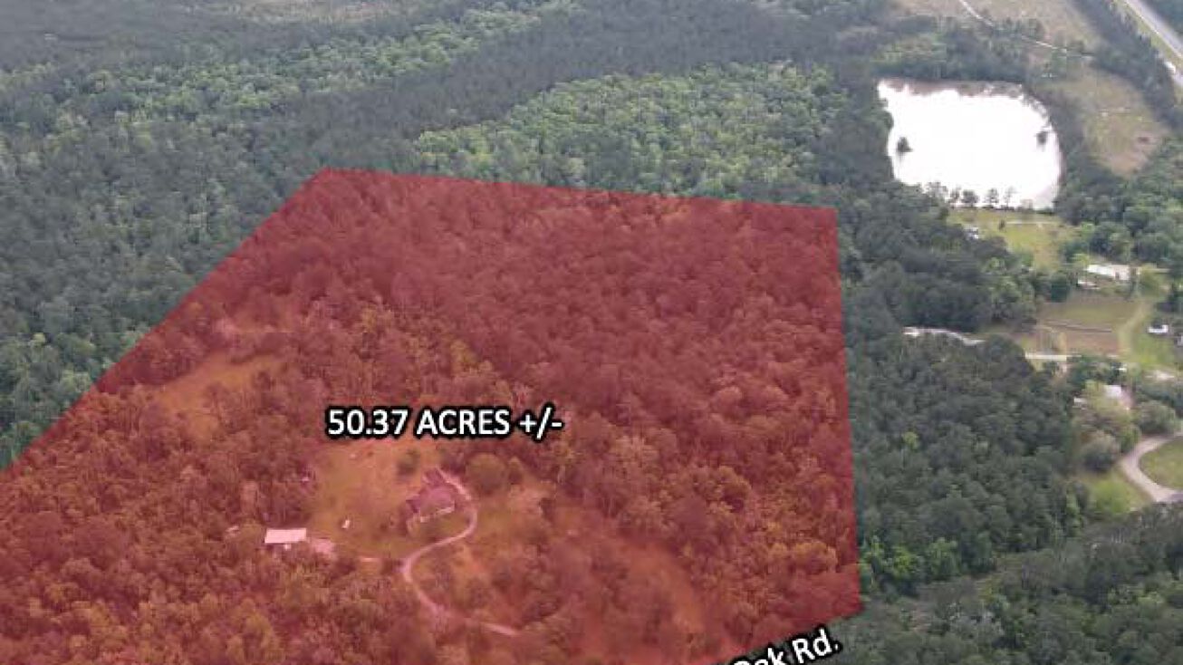 28310 S. Red Oak Rd., Livingston, LA 70754 Land for Sale 50 Acre