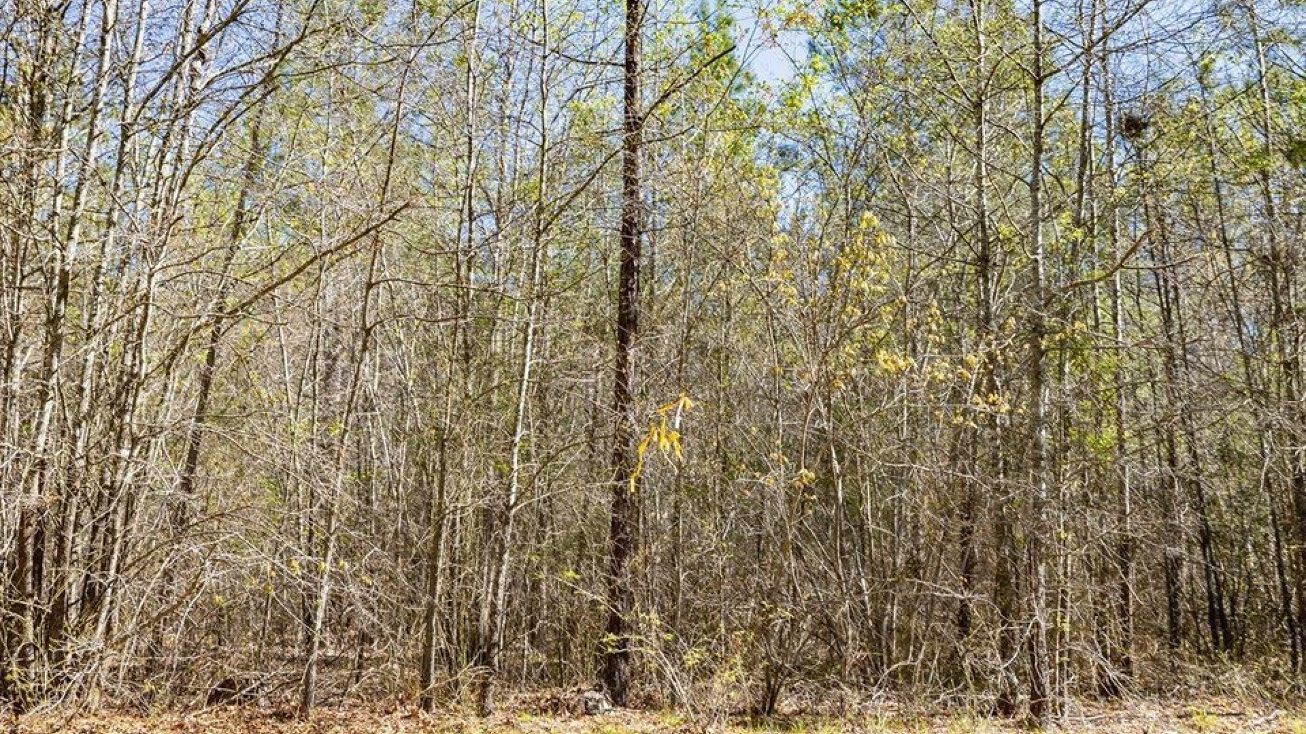 267 Marshall Rd, Pittsboro, NC 27312